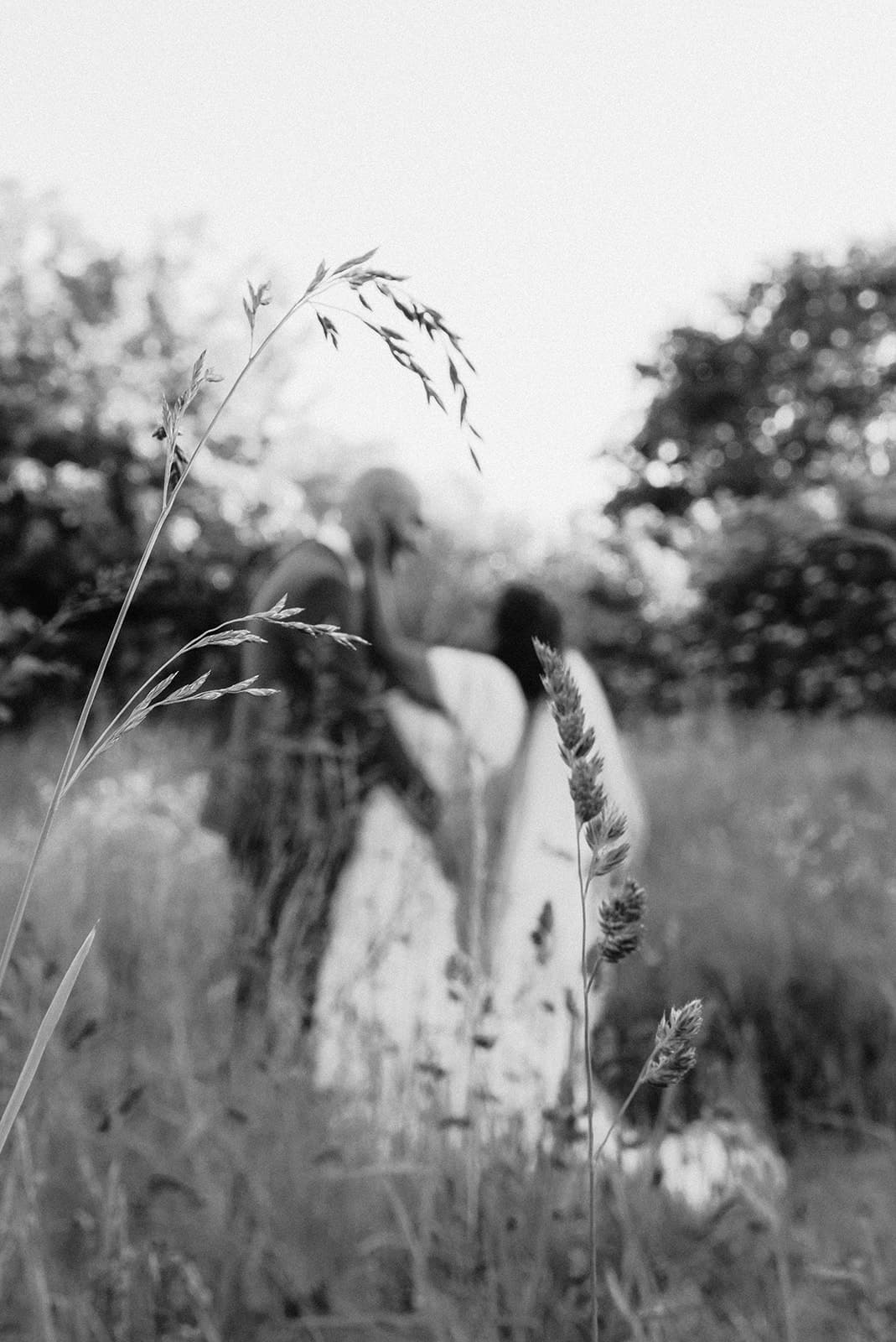 Black and white image of grass in focus with blurred people in the background.