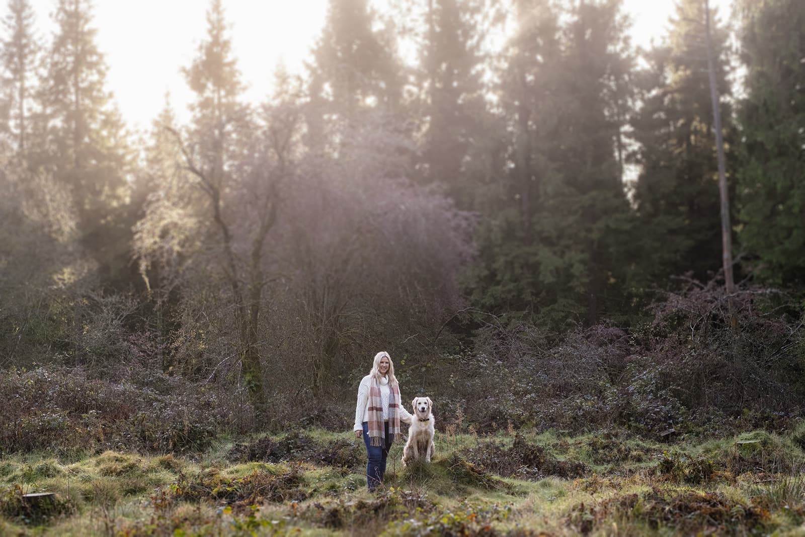 Person walking with a dog in a sunlit forest clearing.