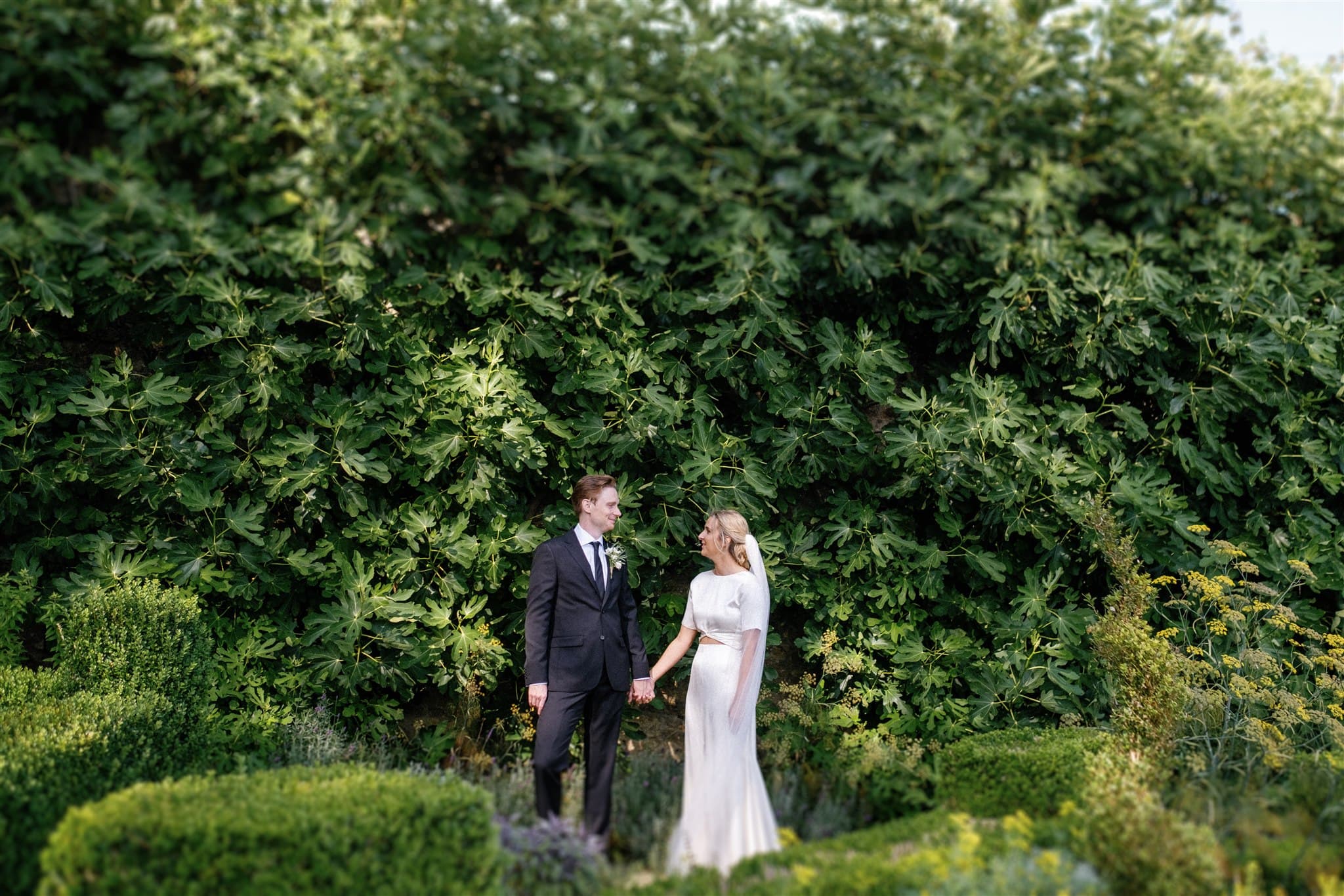 A couple in wedding attire holding hands in front of a lush green hedge.