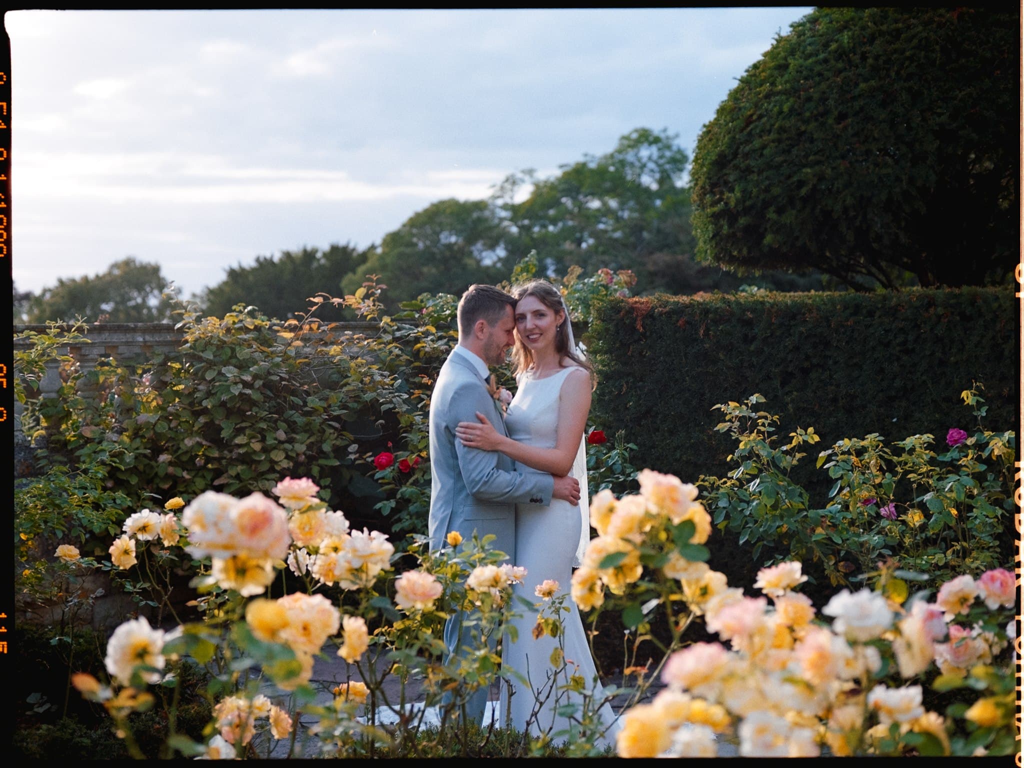 Film photo of couple embracing amidst blooming roses in a garden.