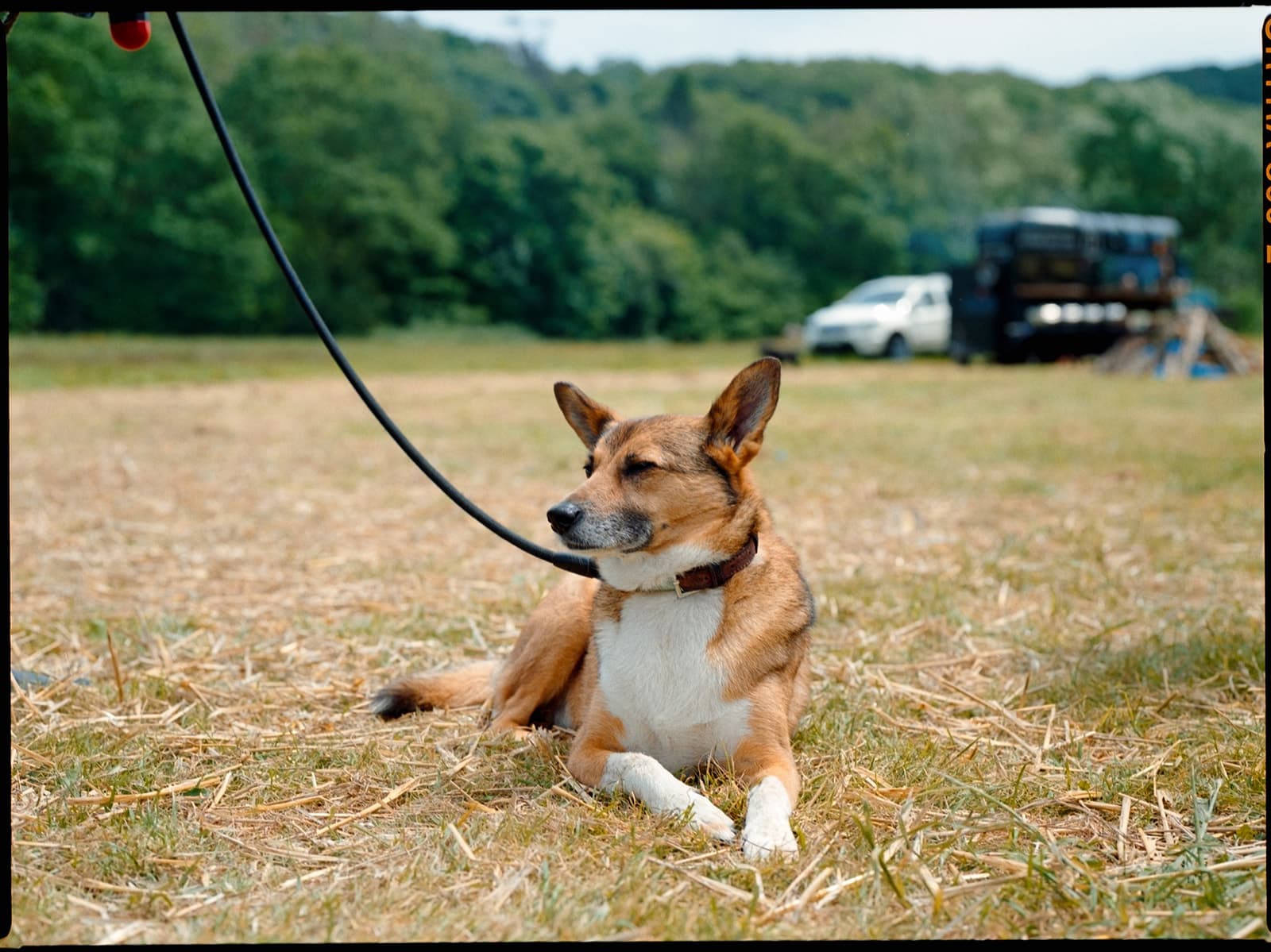 london-bristol-uk-wedding-photographer-film-analog-natural-candid-alternative-modern-colourful10.jpg